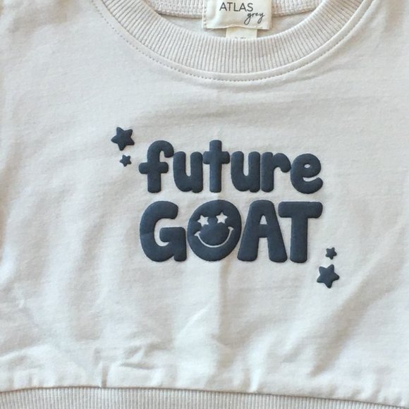 Atlas grey cream "Future Goat" crew neck sweatshirt - Picture 2 of 2